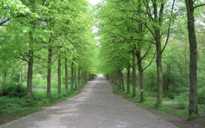 Denktank Scheveningse bosjes en Westbroekpark