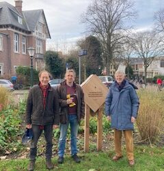 Insectenhotel met haiku op het van Stolkplein