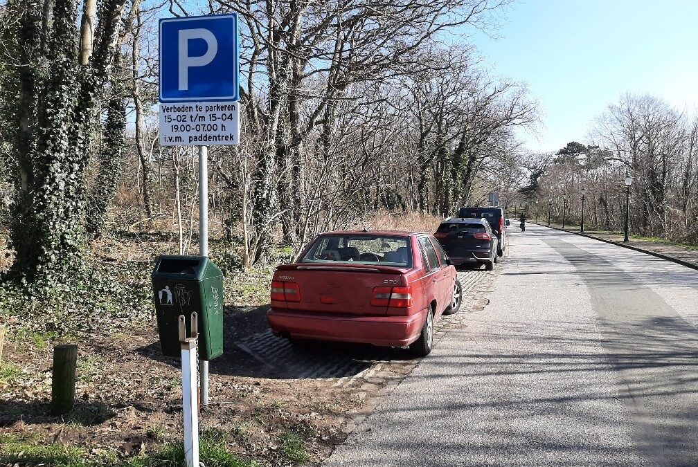 Duinweg tijdelijk afgesloten tijdens paddentrek