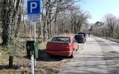 Duinweg tijdelijk afgesloten tijdens paddentrek
